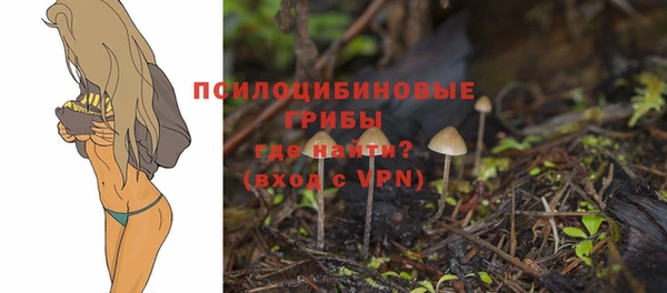 ешки Наволоки